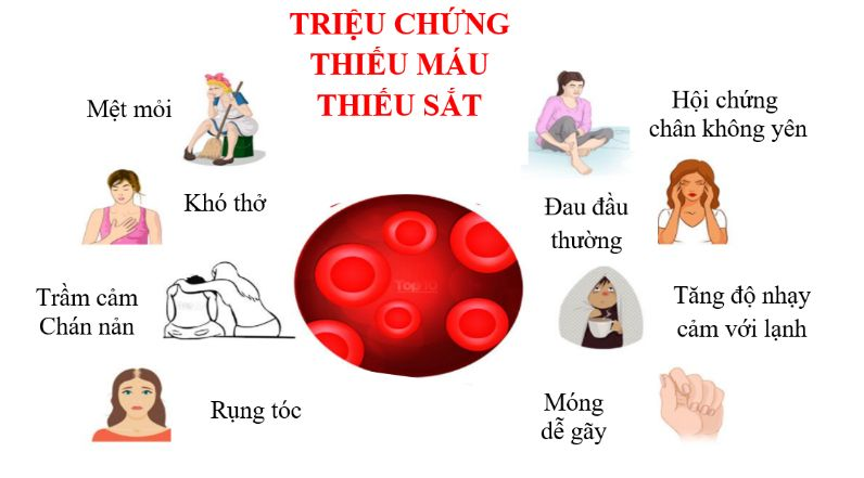 DẤU HIỆU CỦA THIẾU MÁU DO THIẾU SẮT VÀ TÁC HẠI CỦA BỆNH THIẾU MÁU